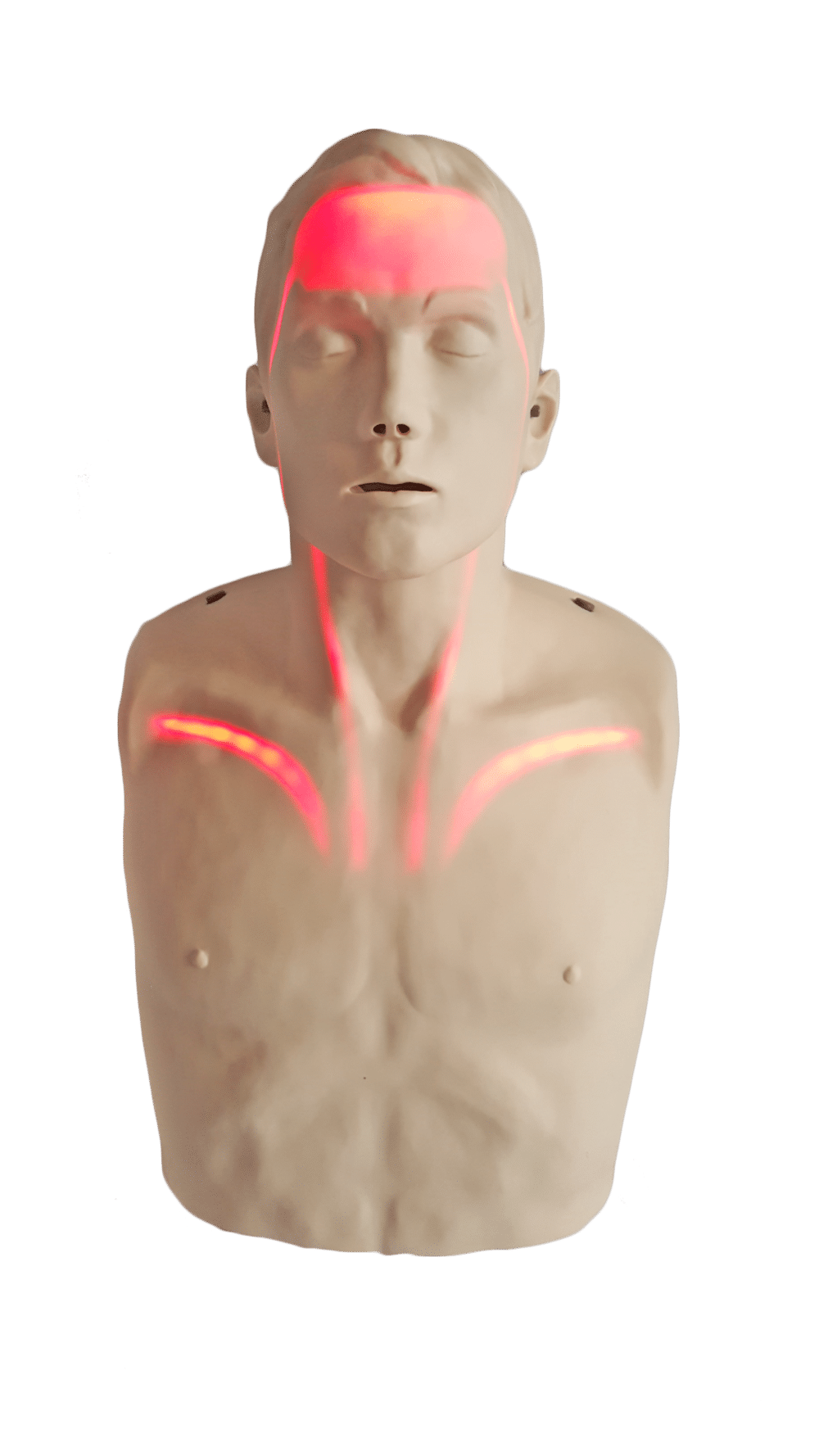 Brayden Cpr Manikin With Red Lights 3 Brayden CPR Manikin with RED Lights