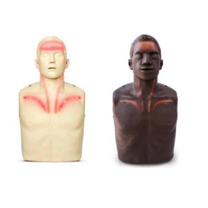 Brayden CPR Manikin and Brayden OBI CPR Manikin
