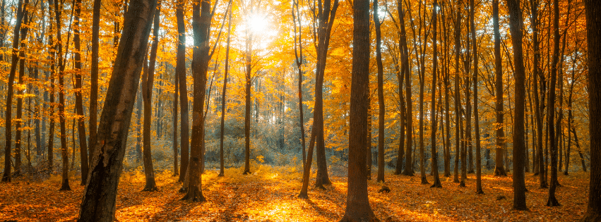 October
