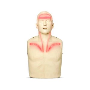 Brayden CPR Manikin with RED Lights